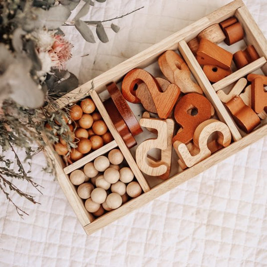 Montessori Sorting Trays